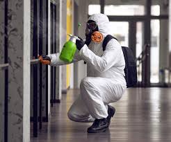 Trusted Lake Royale, NC Mold Remediation Experts